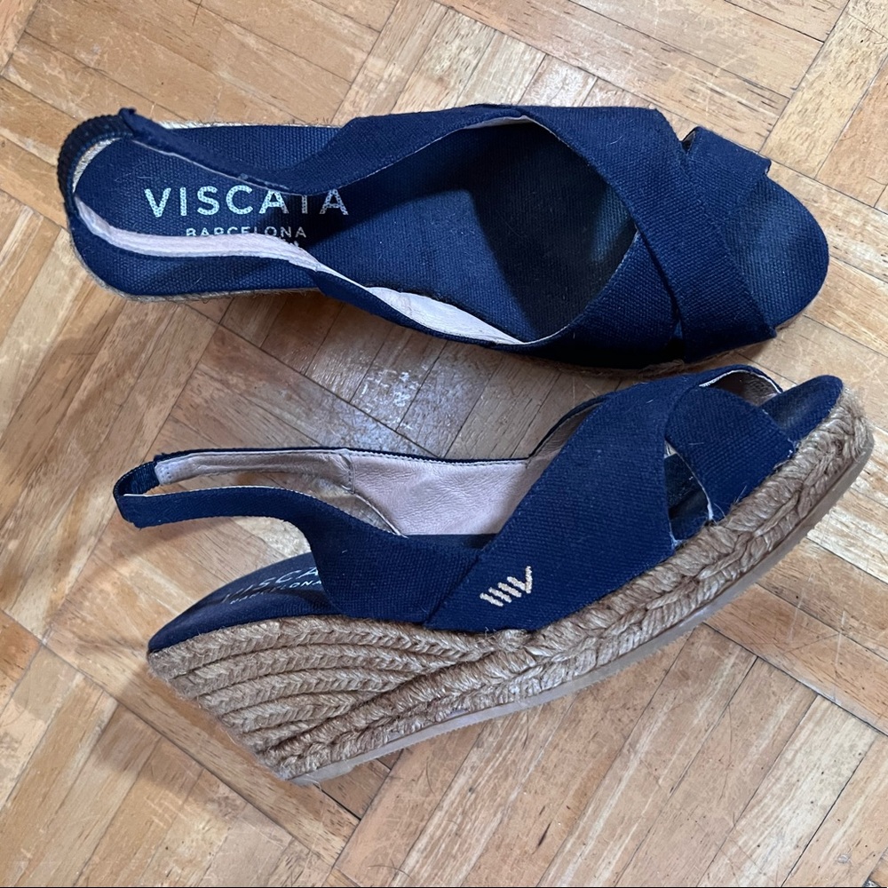 Viscata wedges